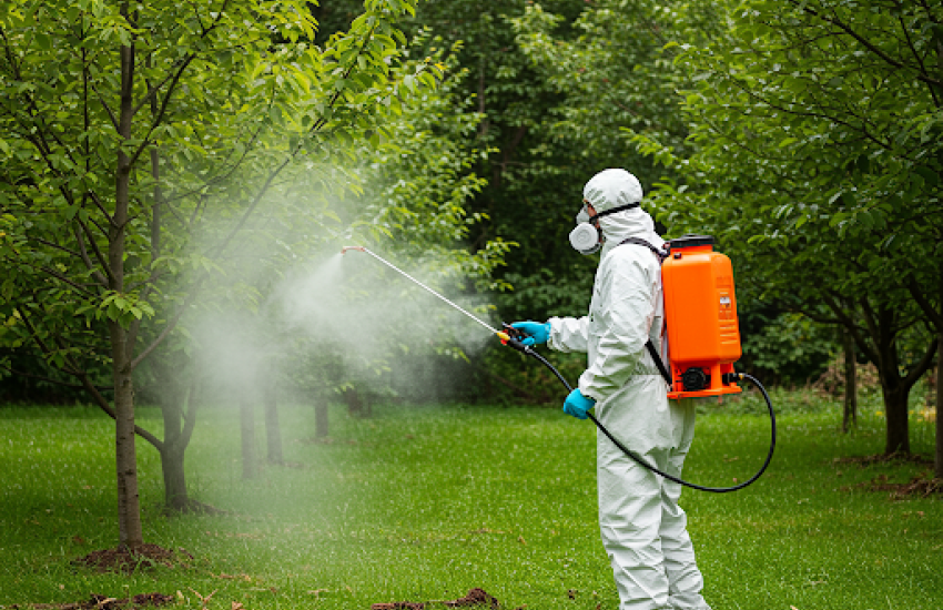 Знищення ос