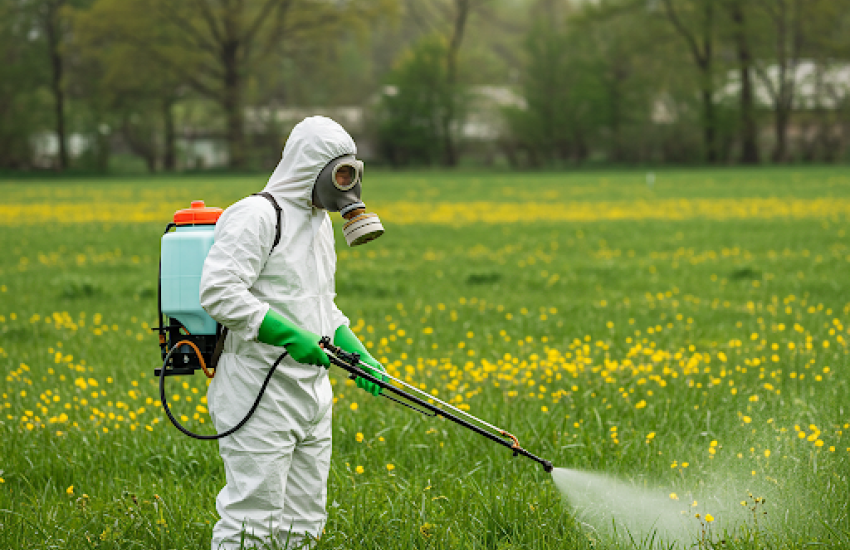 Обробка ділянки від мошки