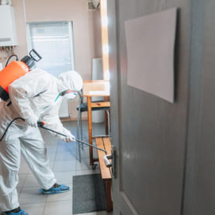 Знищення молі